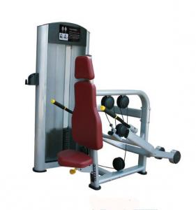 Seated Triceps Extension AF—8807