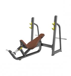 Olympic Bench Incline AF—5042B