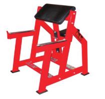 Seated Arm Curl 6019